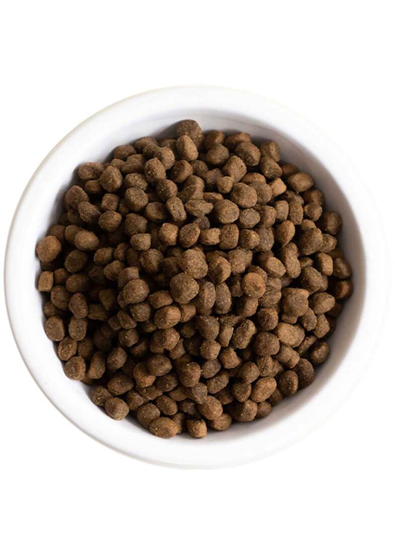 Open Farm Dry Dog Food, Ancient Grain Beef, 4 Pounds