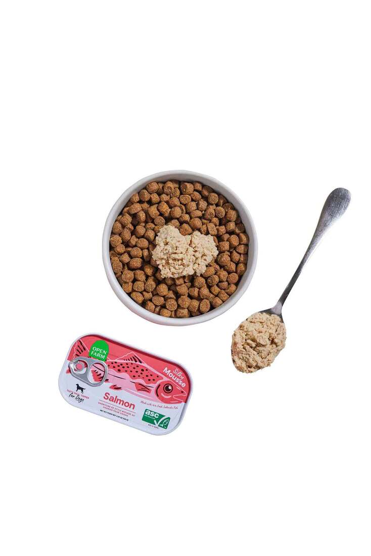 Open Farm Silky Mousse Topper Wet Dog Food, Salmon 4.6 Ounces