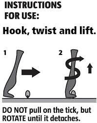 683615359260_2