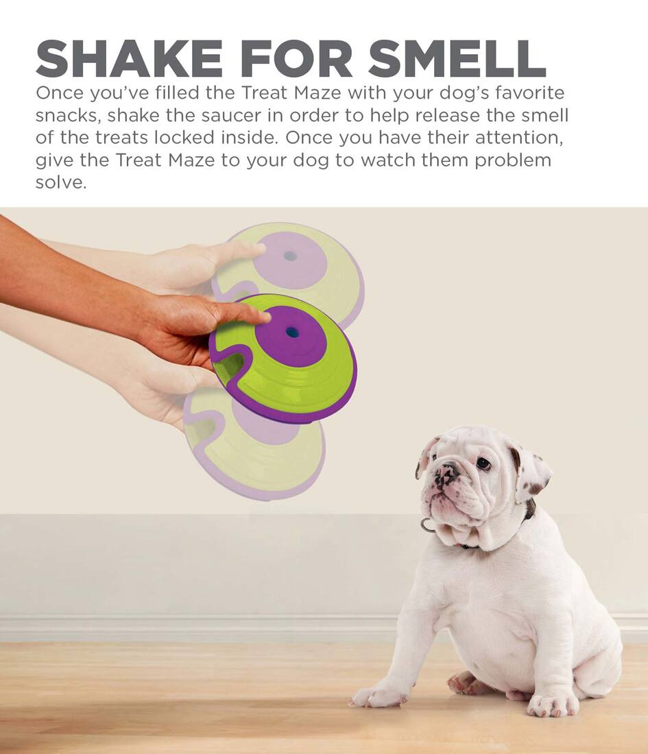 Outward Hound Treat Maze Dog Toy