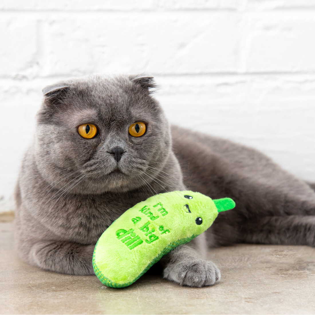 Catstages Crunchy Pickle Kicker, Green, One Size