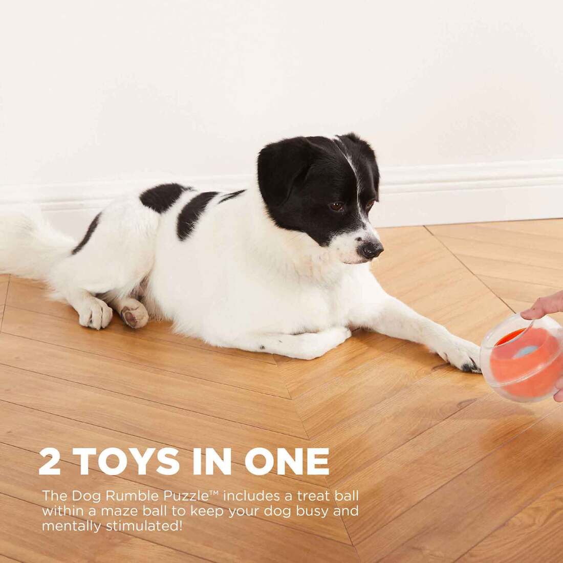 Nina Ottosson by Outward Hound Dog Rumble Puzzle Interactive Dog Ball Puzzle & Treat Maze