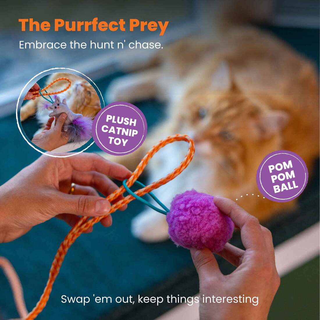 Catstages Cat-apult Spring Wand Cat Toy, Blue