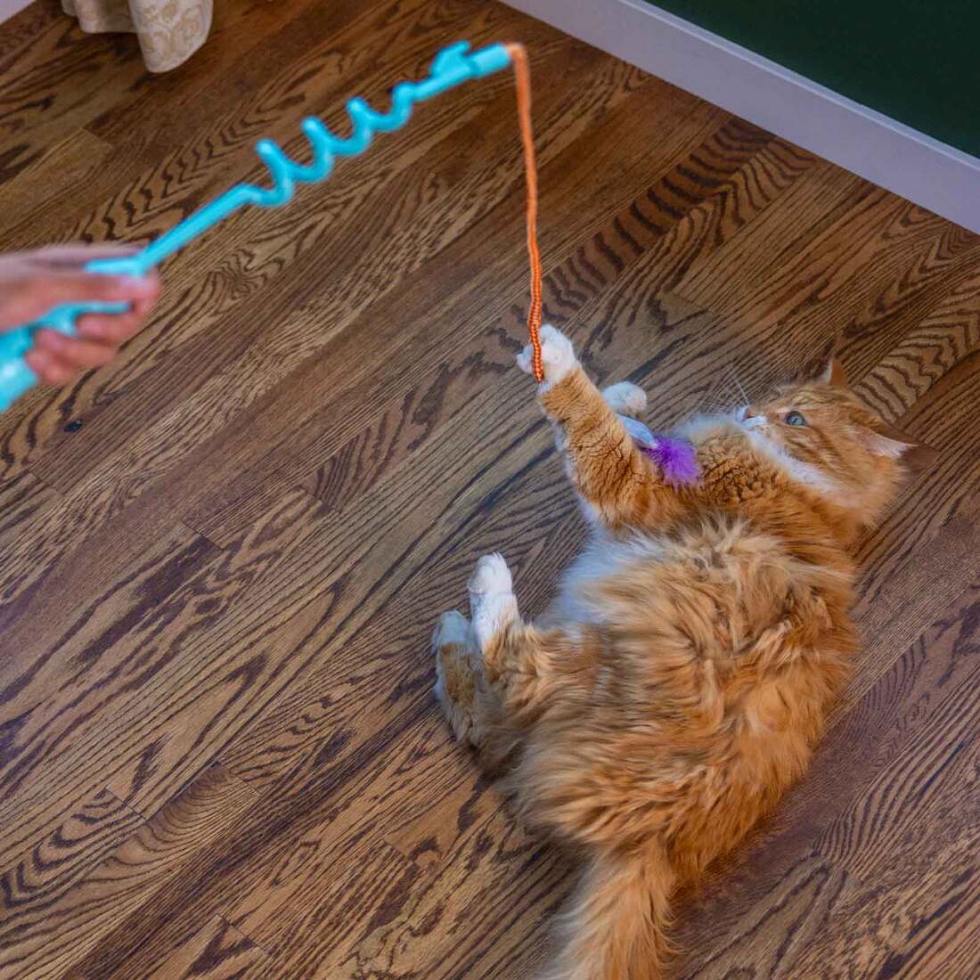 Catstages Cat-apult Spring Wand Cat Toy, Blue