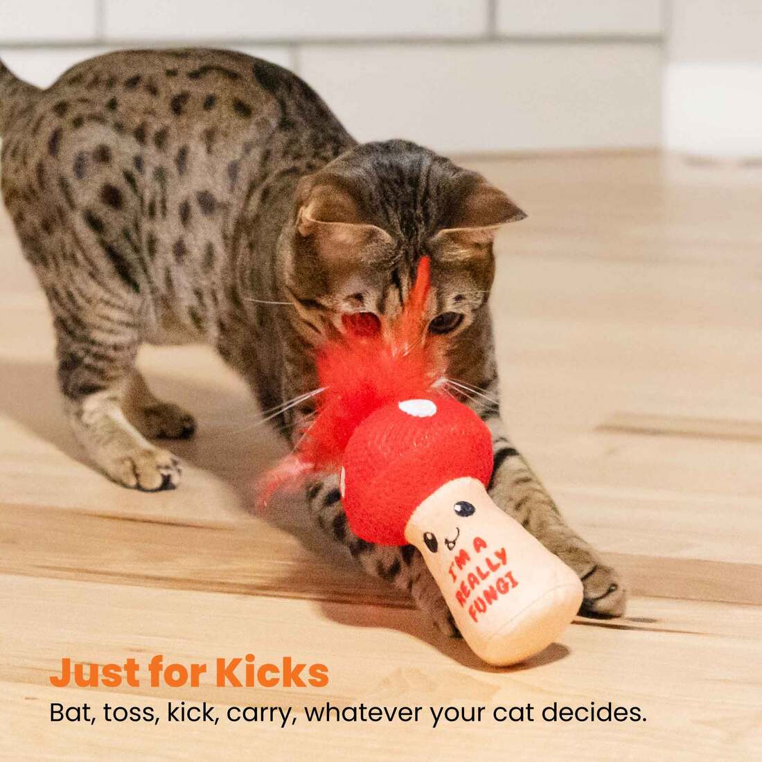 Catstages A Really Fungi Mushroom Kicker Cat Toy, Red