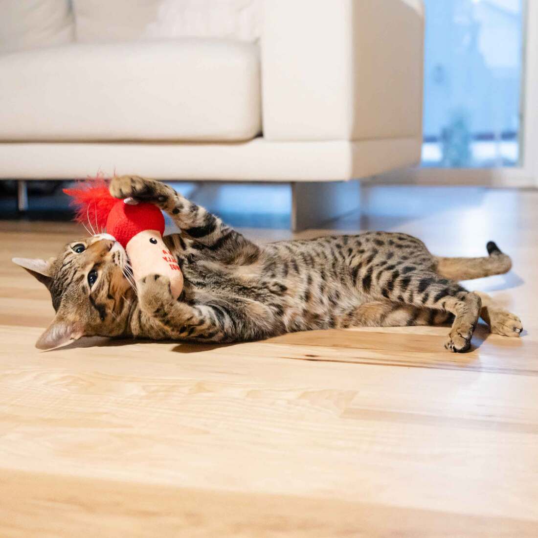 Catstages A Really Fungi Mushroom Kicker Cat Toy, Red