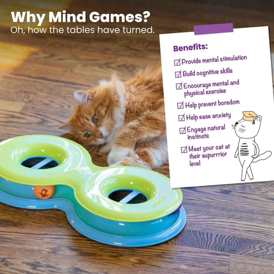 Catstages Infinity Ball Track Cat Toy, Green