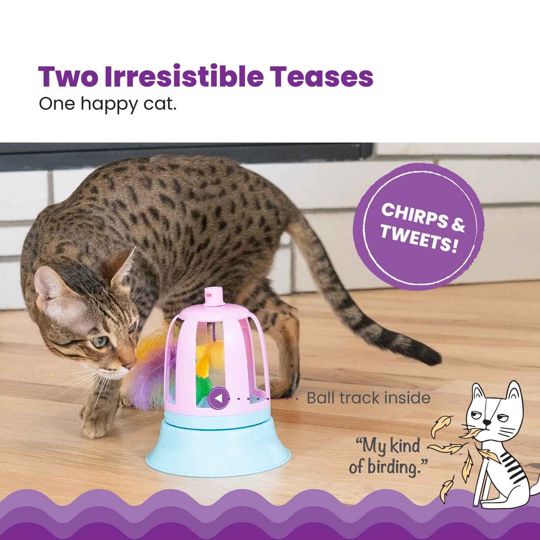 Catstages 2 In 1 Topper Chirping Bird Cat Toy, Purple