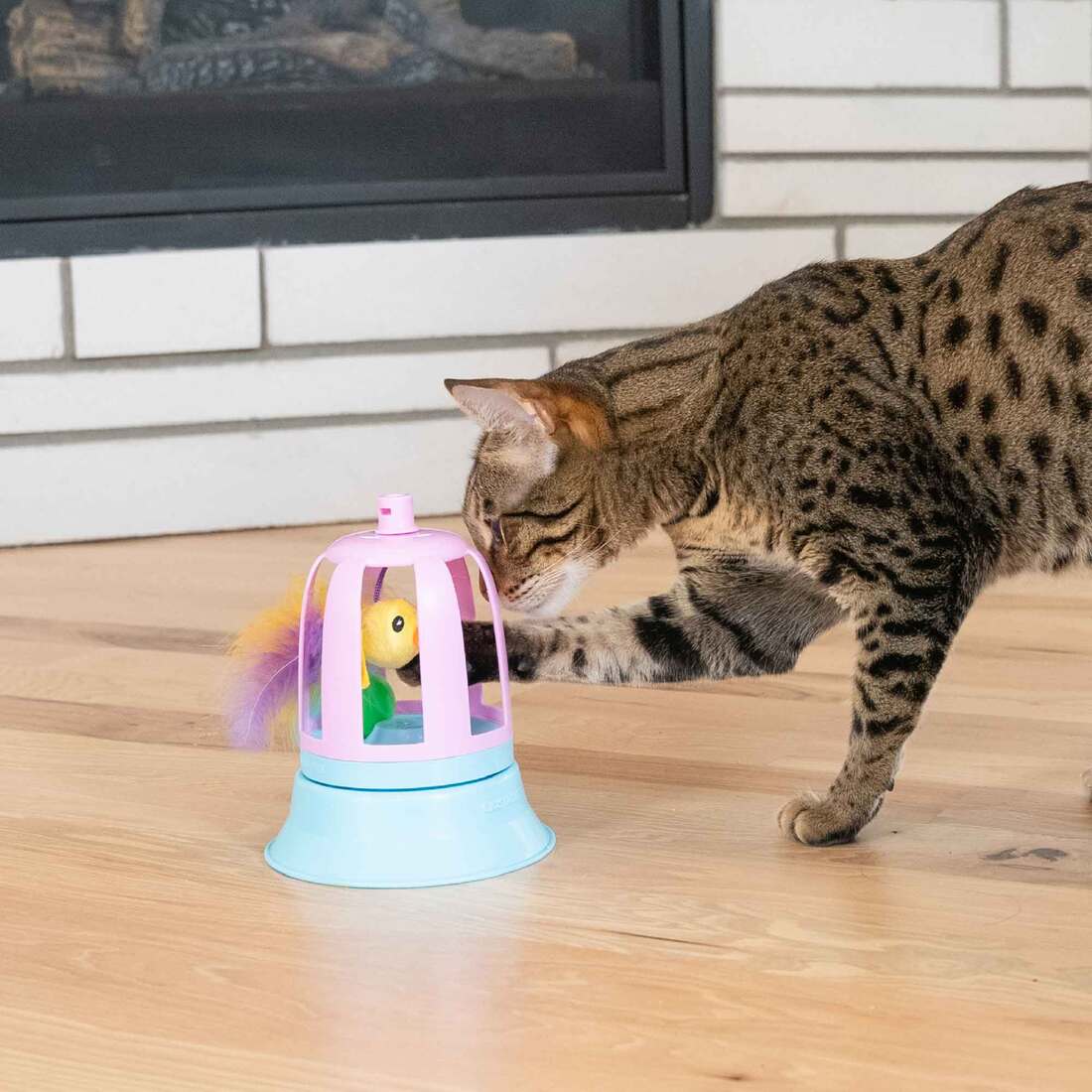 Catstages 2 In 1 Topper Chirping Bird Cat Toy, Purple