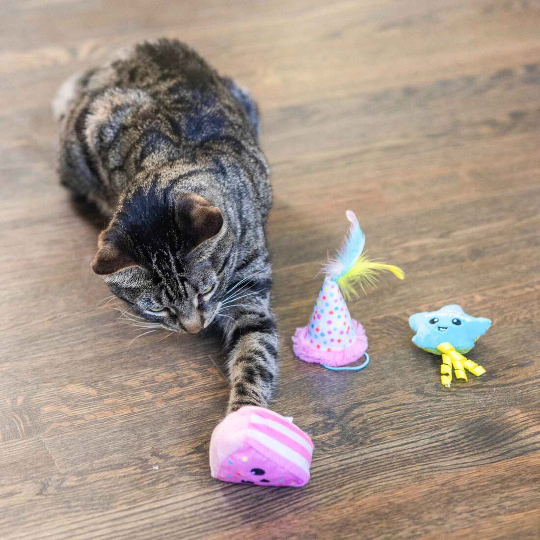 Catstages Happy Purrthday Multicolor Cat Toy, 3 Count