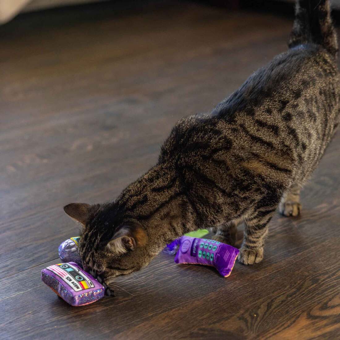 Catstages So Meowsome 90's Multicolor Cat Toy, 3 Count