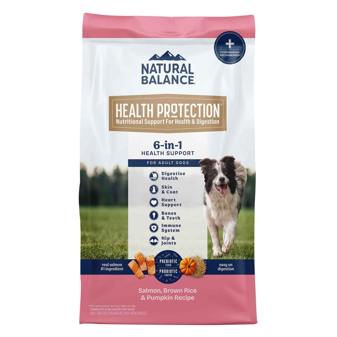 Natural Balance Health Protection Dry Dog Food, Salmon, Brown Rice & Pumpkin Recipe, 4 Pounds