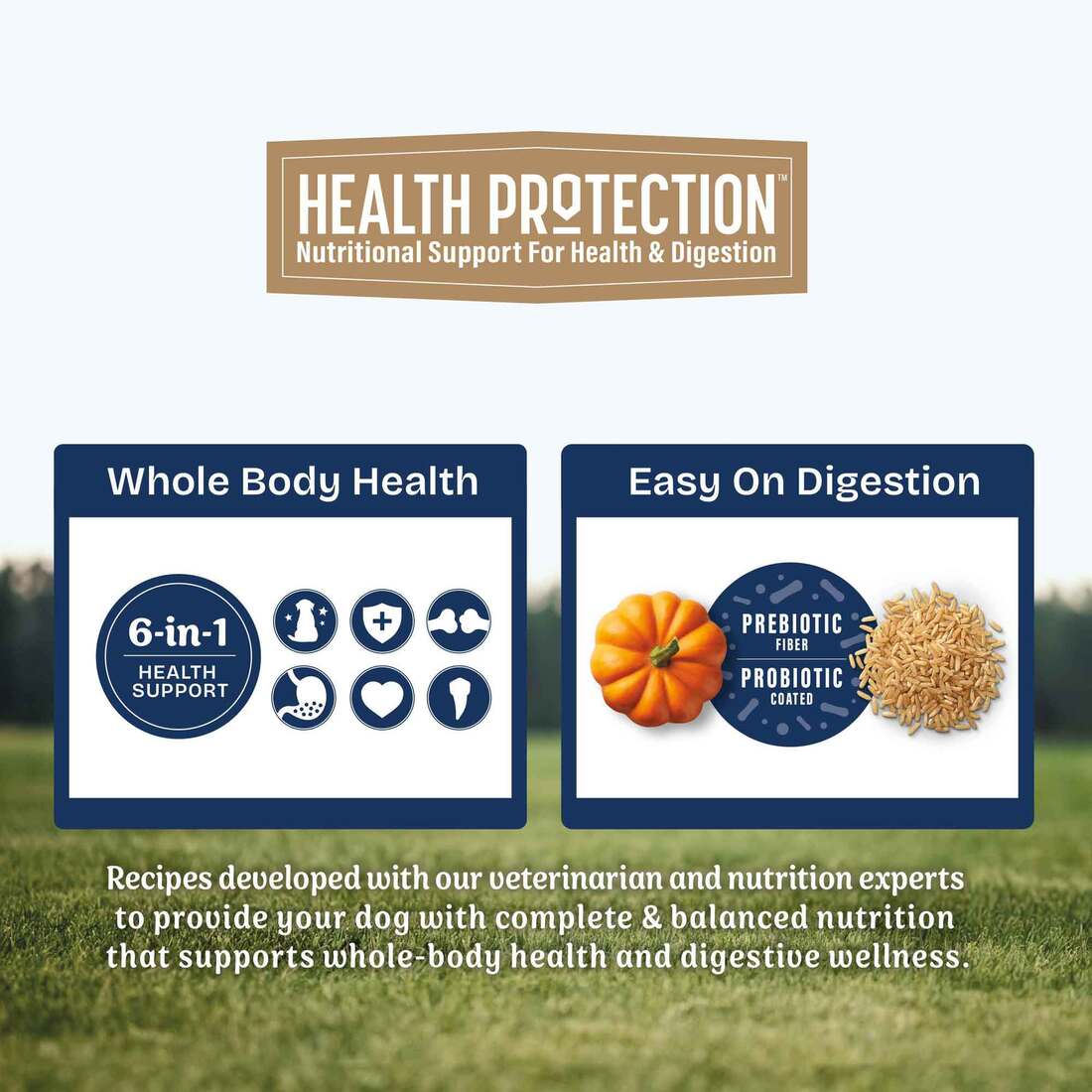 Natural Balance Health Protection Dry Dog Food, Salmon, Brown Rice & Pumpkin Recipe, 4 Pounds