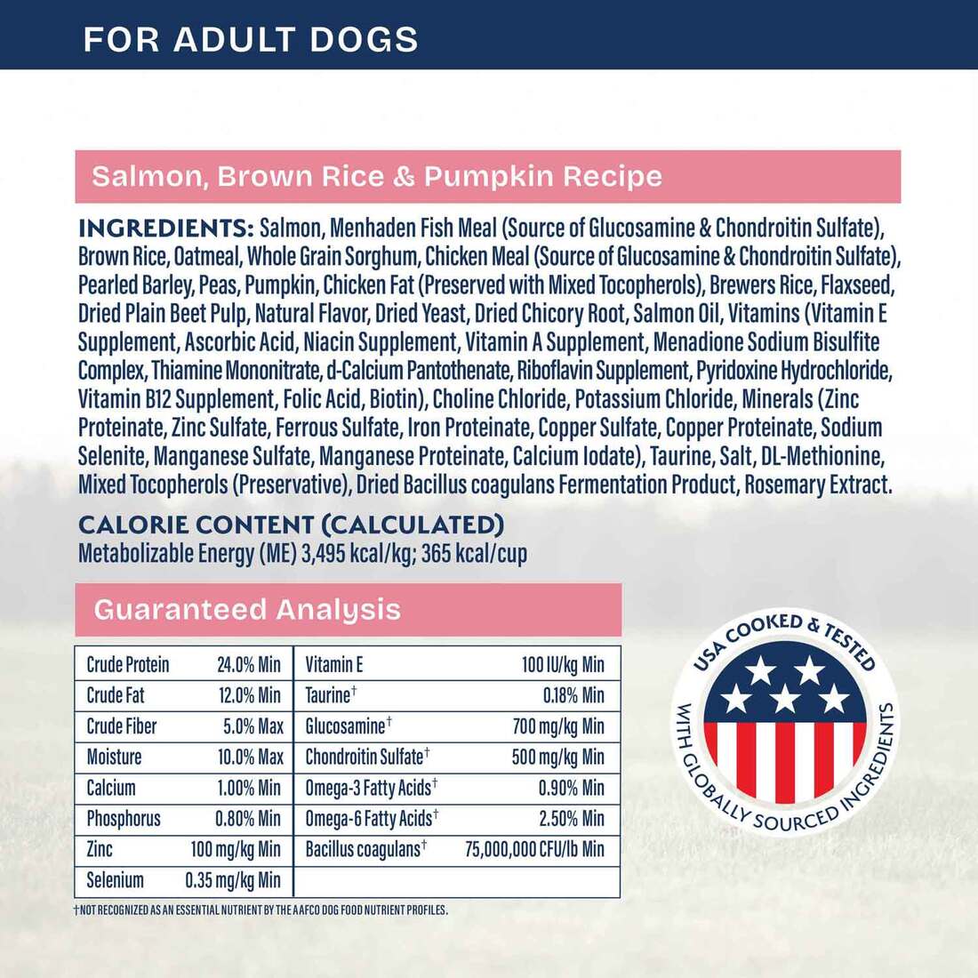 Natural Balance Health Protection Dry Dog Food, Salmon, Brown Rice & Pumpkin Recipe, 4 Pounds