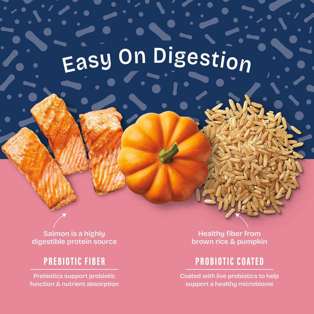Natural Balance Health Protection Dry Dog Food, Salmon, Brown Rice & Pumpkin Recipe, 4 Pounds