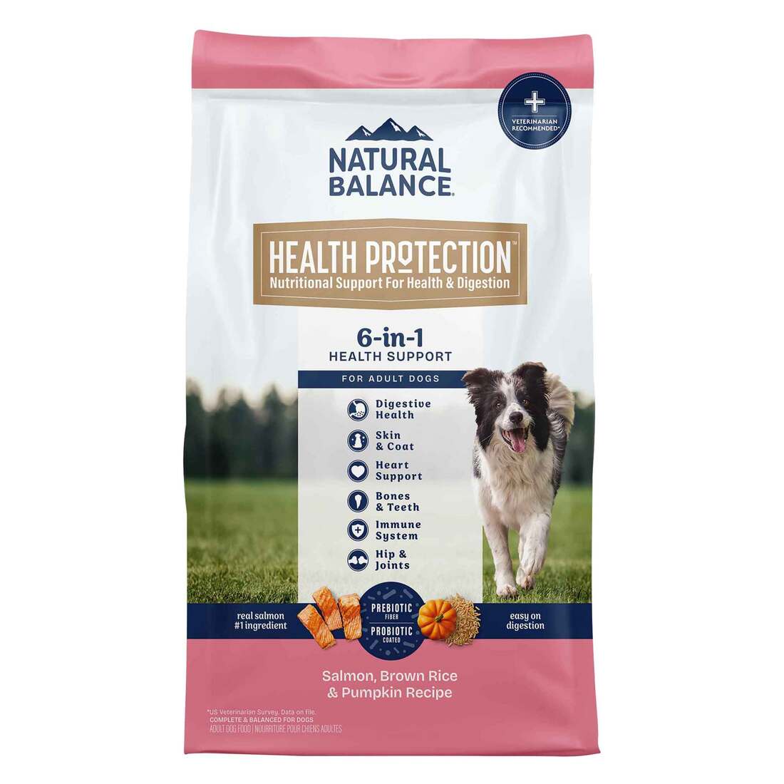 Natural Balance Health Protection Dry Dog Food, Salmon, Brown Rice & Pumpkin Recipe, 22 Pounds