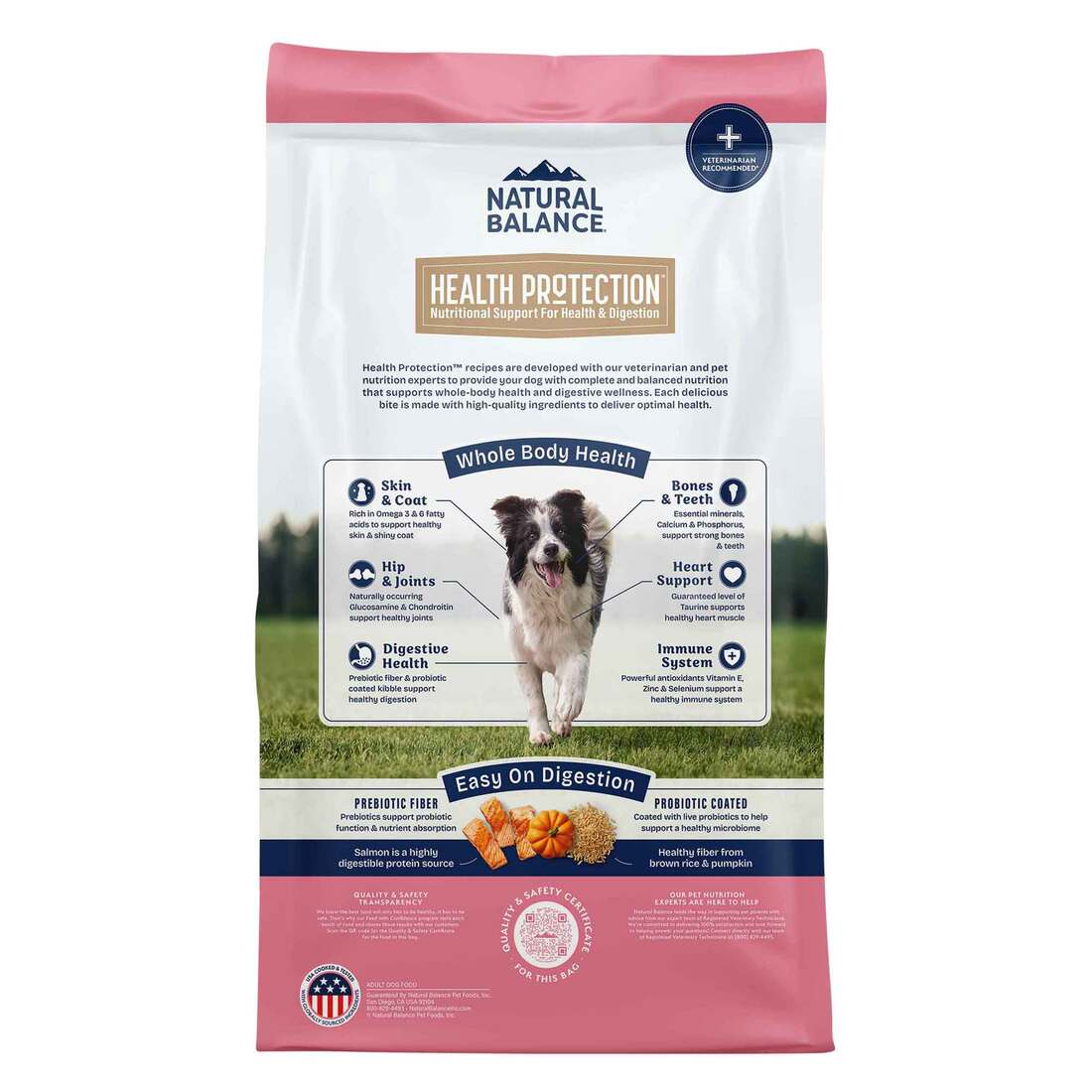 Natural Balance Health Protection Dry Dog Food, Salmon, Brown Rice & Pumpkin Recipe, 22 Pounds