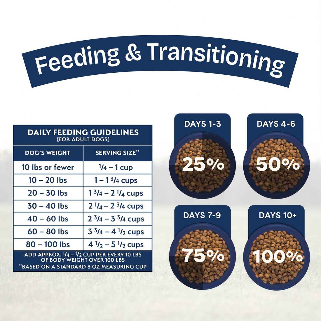 Natural Balance Health Protection Dry Dog Food, Lamb, Brown Rice & Pumpkin Recipe, 4 Pounds