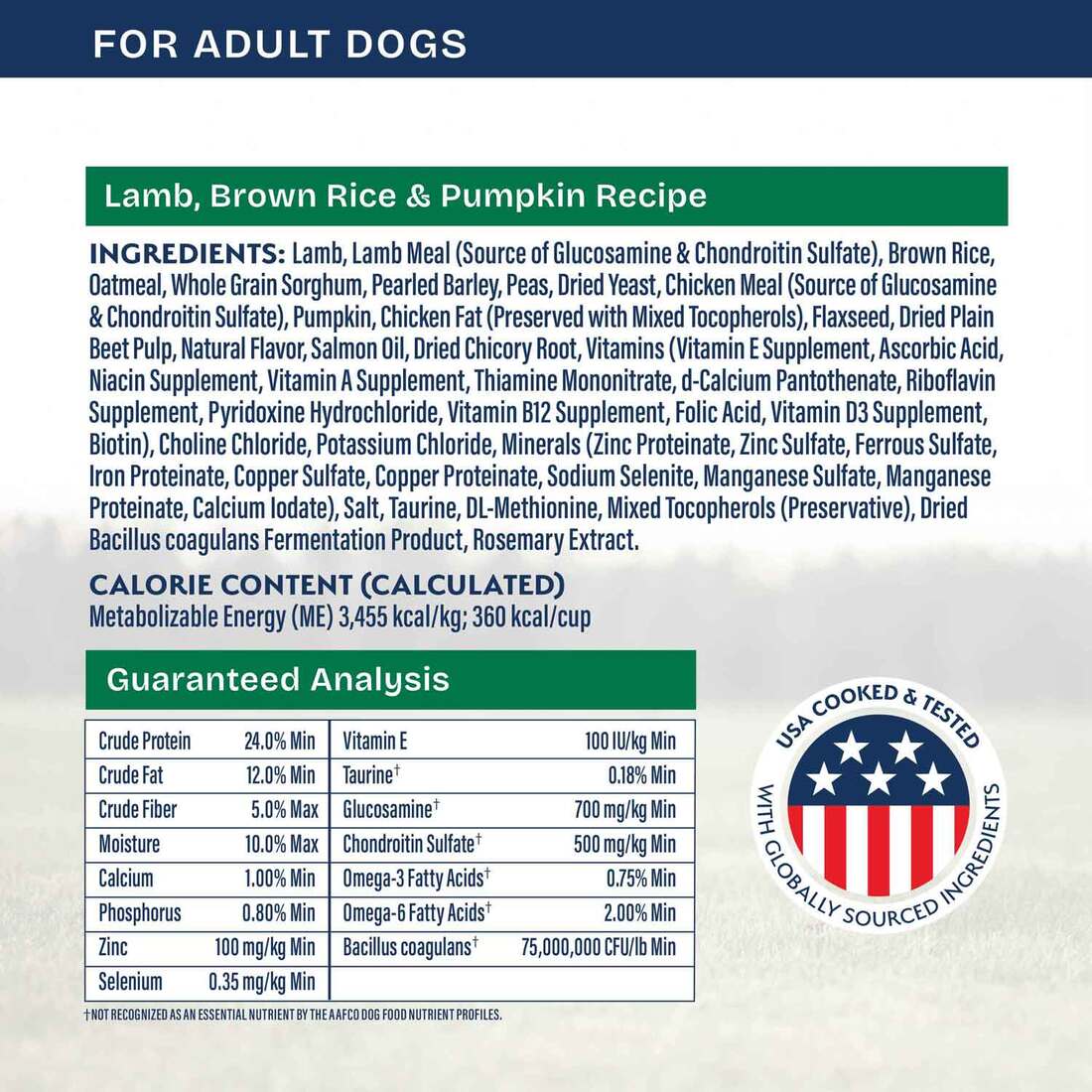 Natural Balance Health Protection Dry Dog Food, Lamb, Brown Rice & Pumpkin Recipe, 4 Pounds