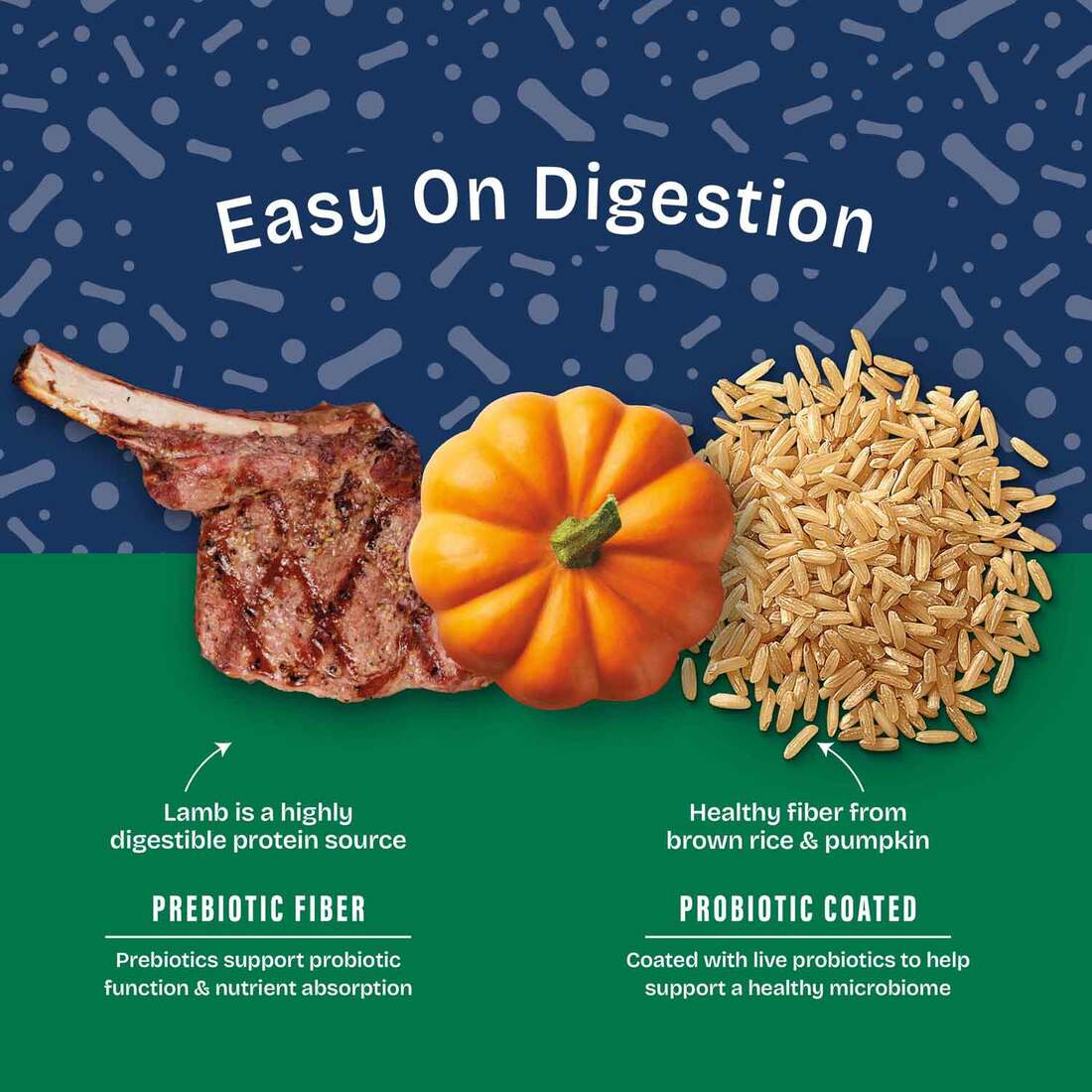 Natural Balance Health Protection Dry Dog Food, Lamb, Brown Rice & Pumpkin Recipe, 4 Pounds