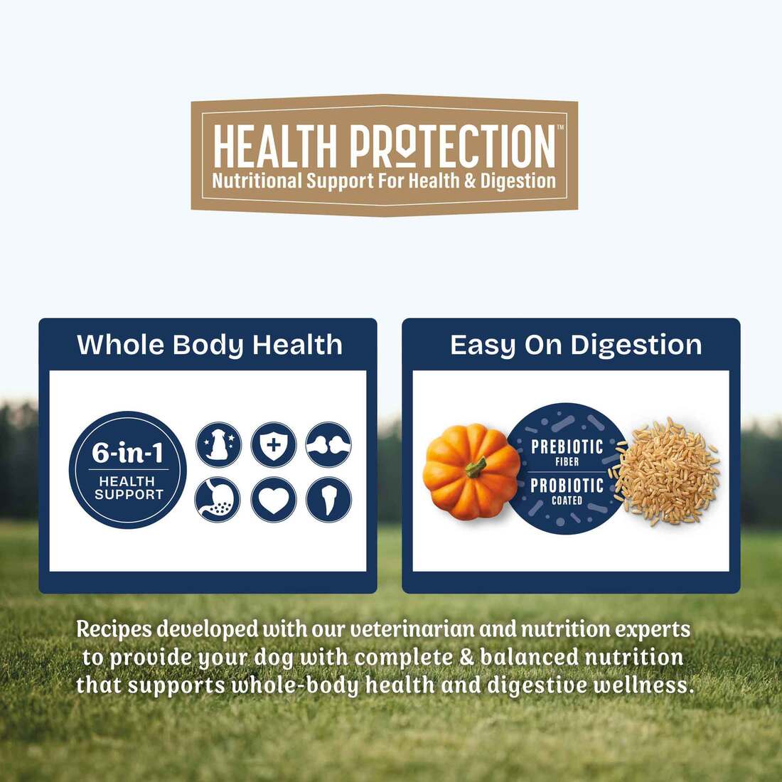 Natural Balance Health Protection Small Breed Dry Dog Food, Chicken, Brown Rice & Pumpkin Recipe, 12