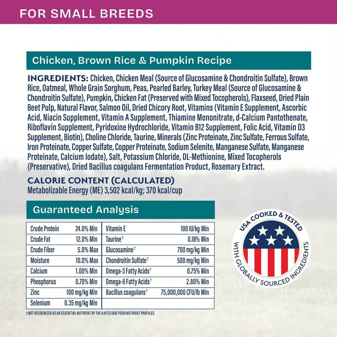 Natural Balance Health Protection Small Breed Dry Dog Food, Chicken, Brown Rice & Pumpkin Recipe, 12
