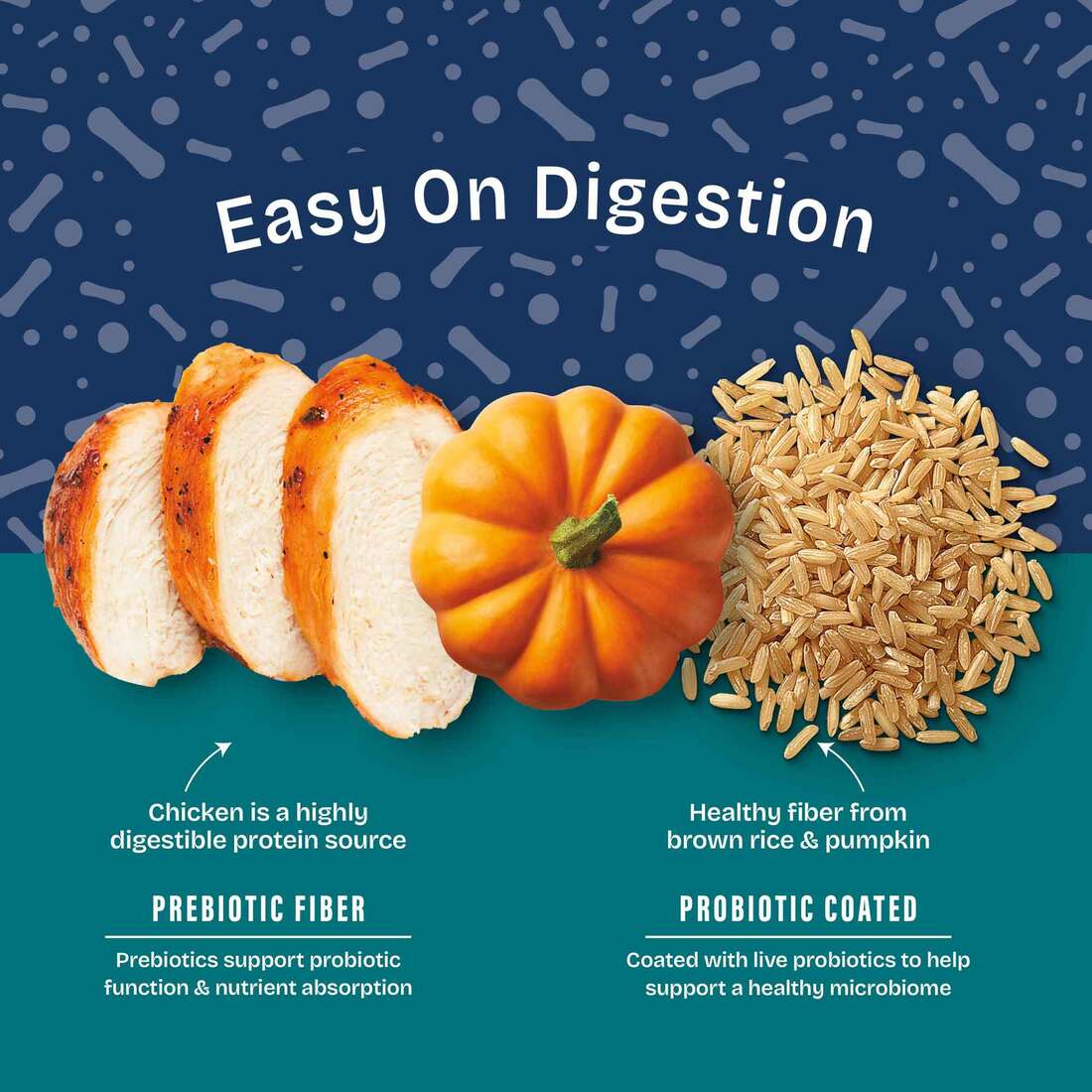 Natural Balance Health Protection Small Breed Dry Dog Food, Chicken, Brown Rice & Pumpkin Recipe, 12