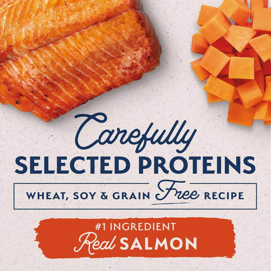 Natural Balance L.I.D. Limited Ingredient Diets Salmon & Sweet Potato Formula Small Breed Bites Dry 