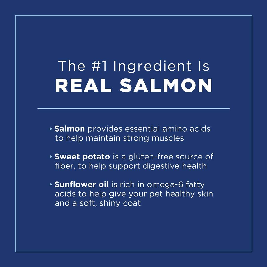 Natural Balance L.I.D. Limited Ingredient Diets Salmon & Sweet Potato Formula Small Breed Bites Dry 