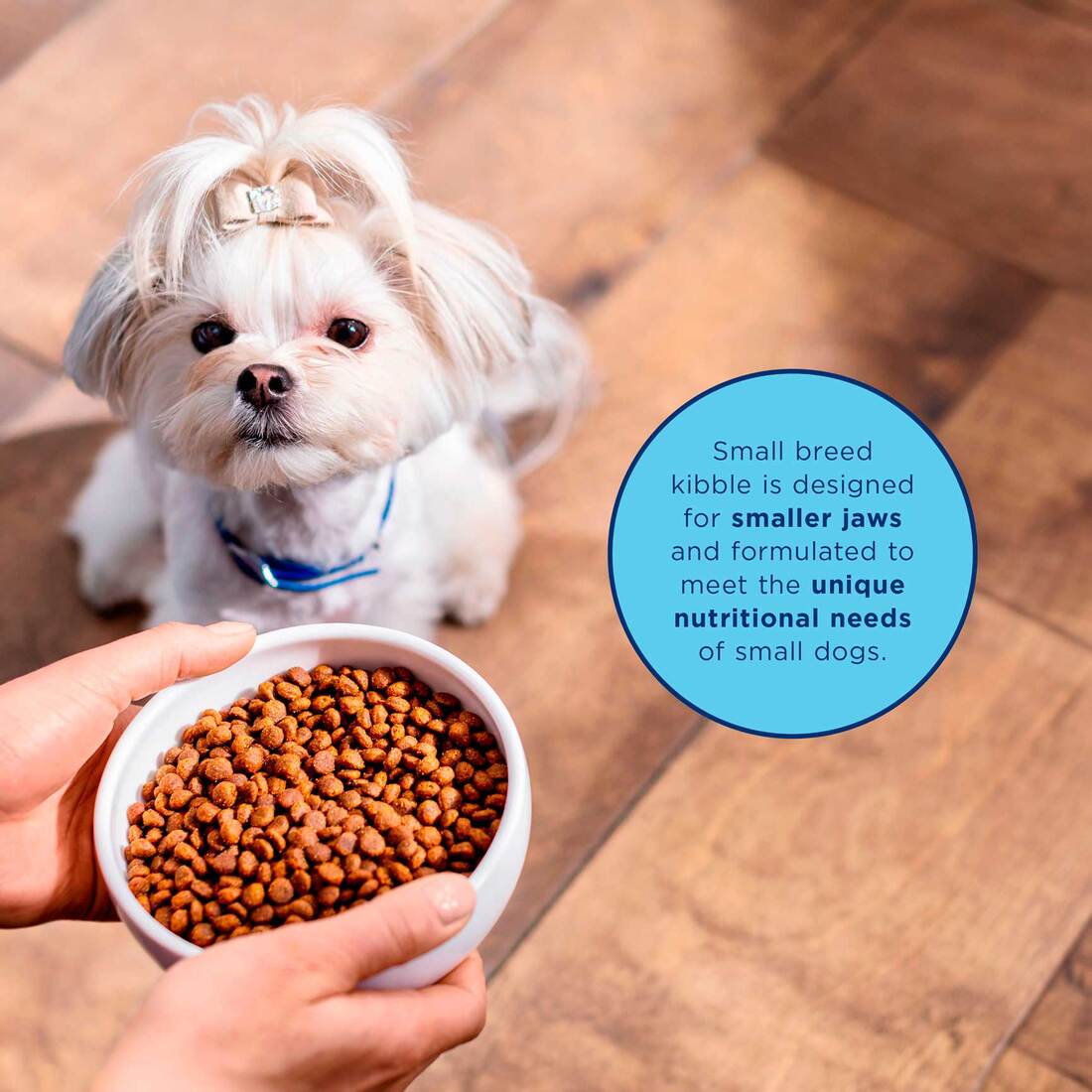 Natural Balance L.I.D. Limited Ingredient Diets Lamb & Brown Rice Small Breed Formula Dry Dog Food, 