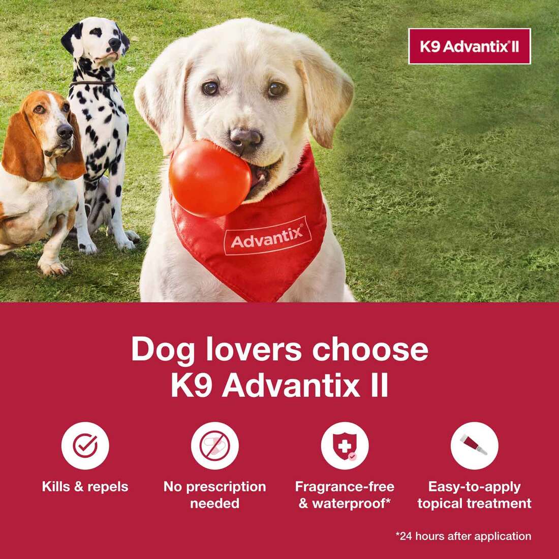 K9 Advantix II Large Dog Vet-Recommended Flea, Tick & Mosquito Treatment & Prevention | Dogs 21 - 55