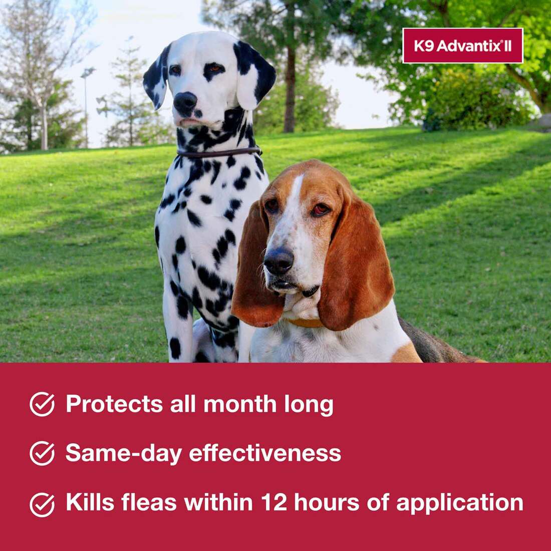 K9 Advantix II Large Dog Vet-Recommended Flea, Tick & Mosquito Treatment & Prevention | Dogs 21 - 55