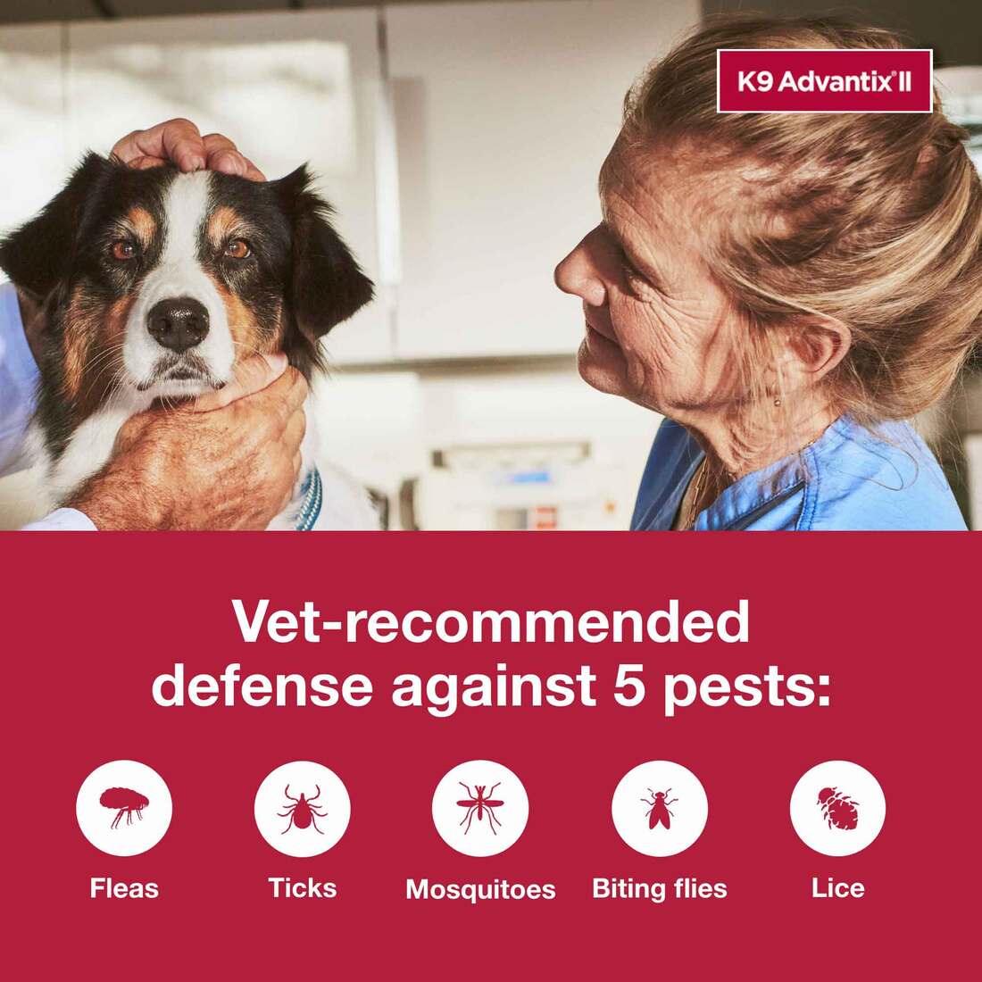 K9 Advantix II Large Dog Vet-Recommended Flea, Tick & Mosquito Treatment & Prevention | Dogs 21 - 55