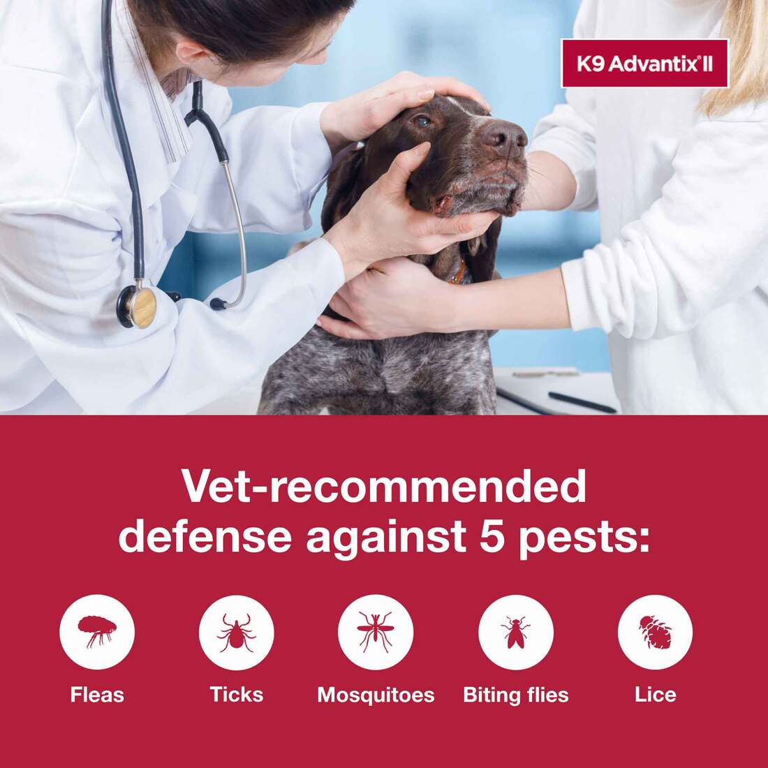 K9 Advantix II XL Dog Vet-Recommended Flea, Tick & Mosquito Treatment & Prevention | Dogs Over 55 lb