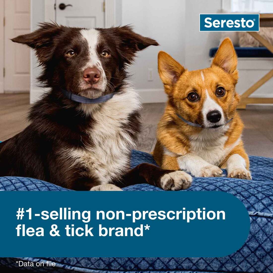 Seresto Small Dog Vet-Recommended Flea & Tick Treatment & Prevention Collar for Dogs Under 18 lbs. |