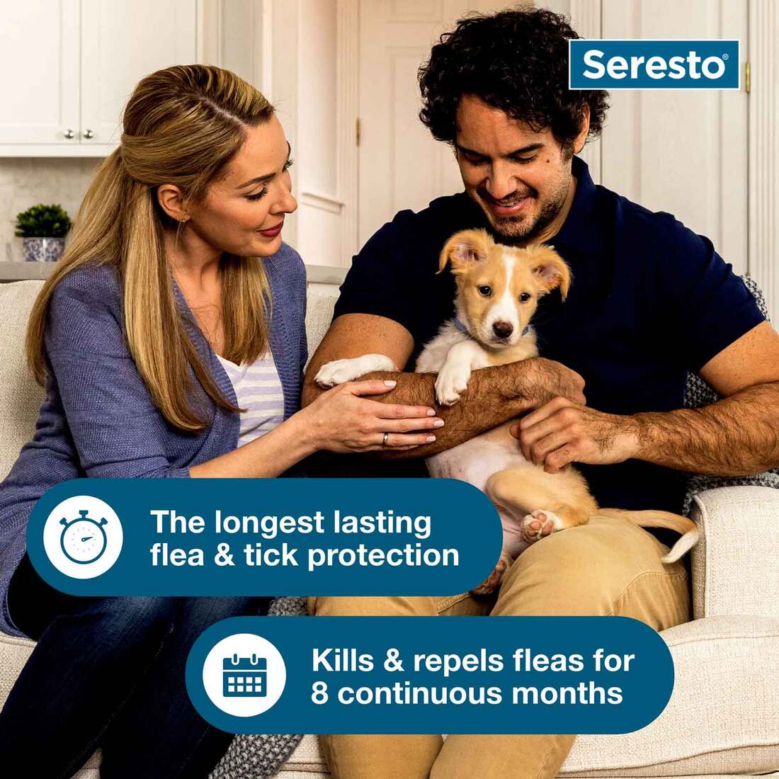 Seresto Small Dog Vet-Recommended Flea & Tick Treatment & Prevention Collar for Dogs Under 18 lbs. |