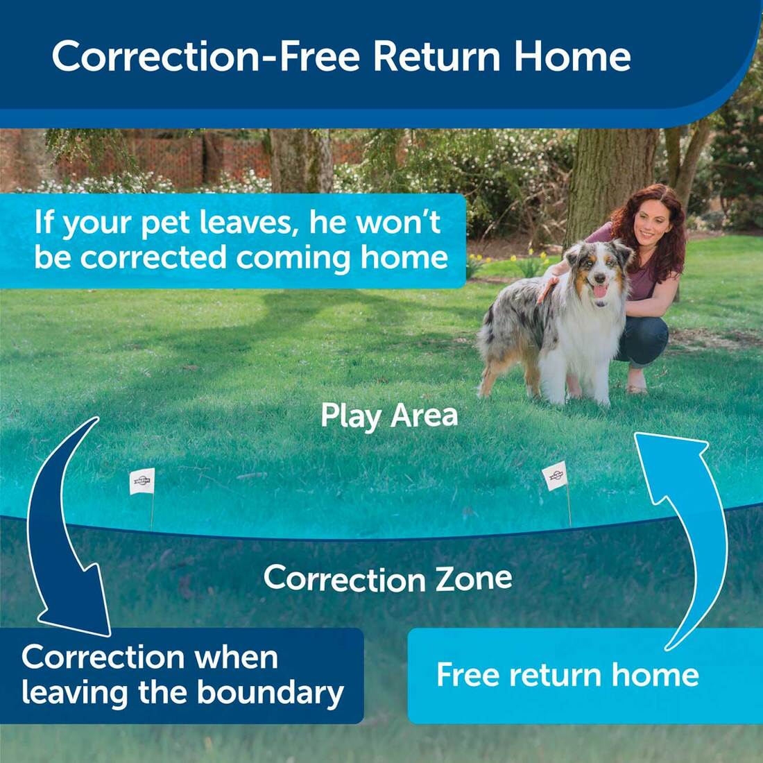 PetSafe® Stay + Play Wireless Fence