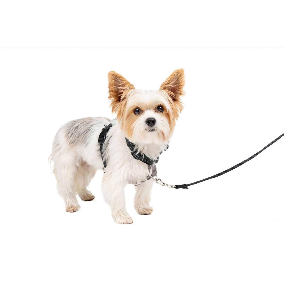 PetSafe® Harness 3 In 1, Black, Extra Small