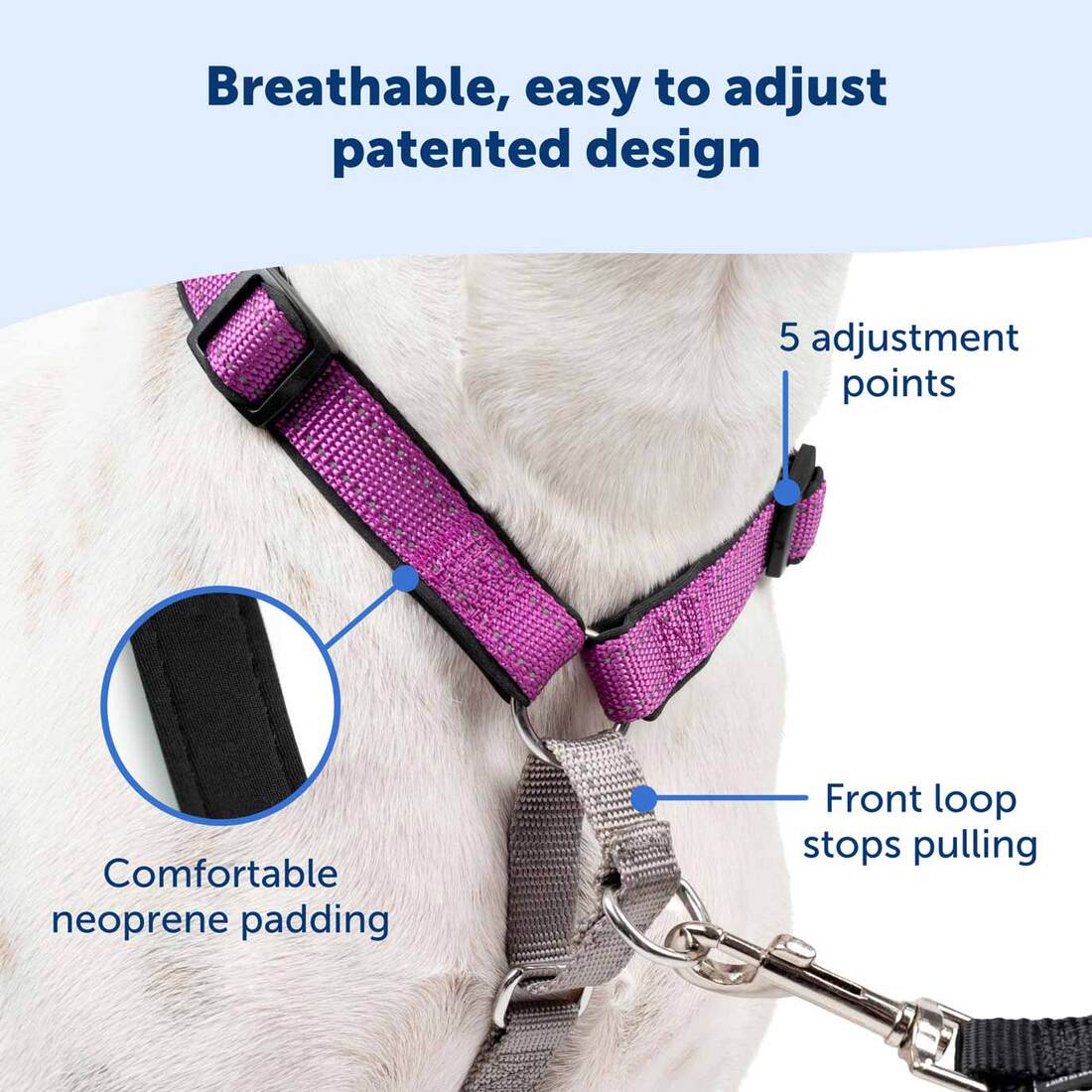 PetSafe® Harness 3 In 1, Black, Extra Small