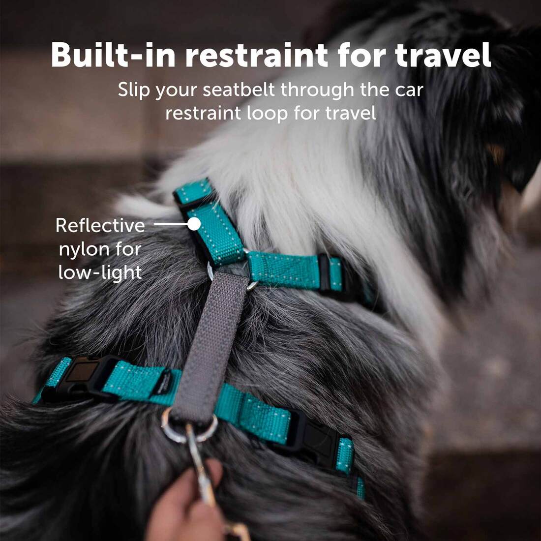 PetSafe® Harness 3 In 1, Black, Large | Pet Supplies Plus