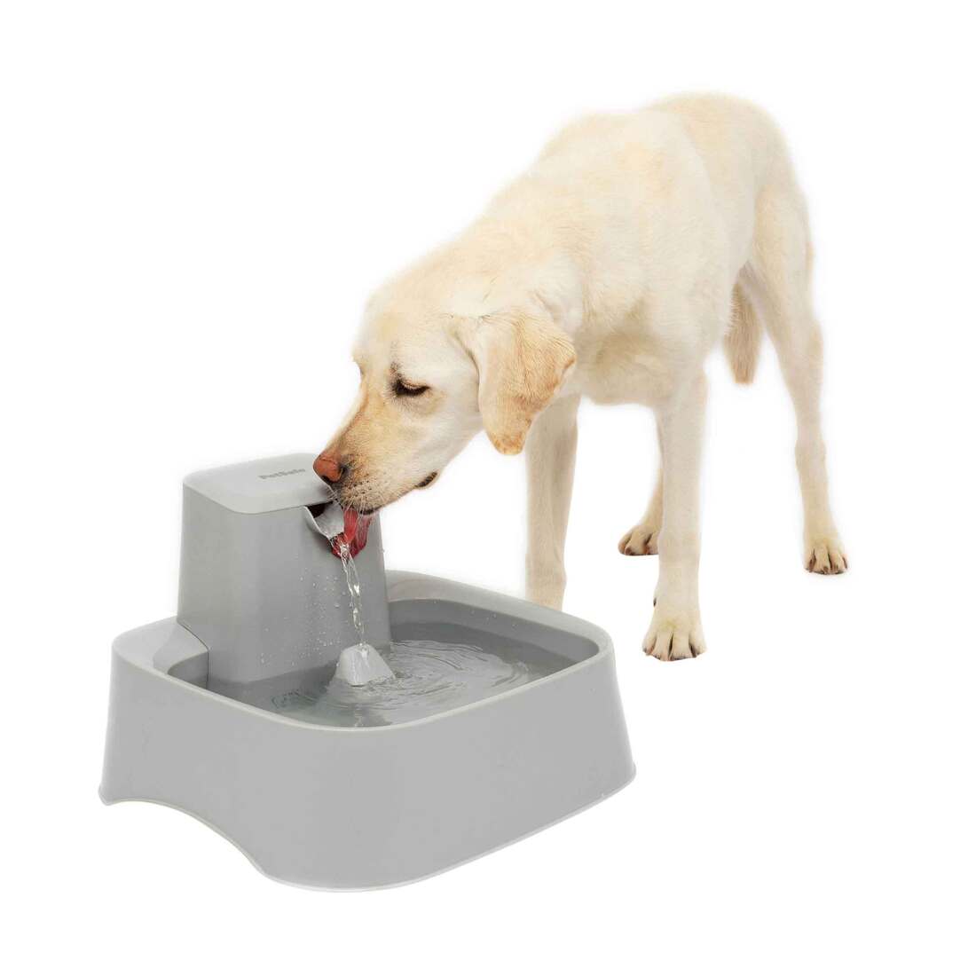 PetSafe® Drinkwell 2 Gallon Pet Fountain