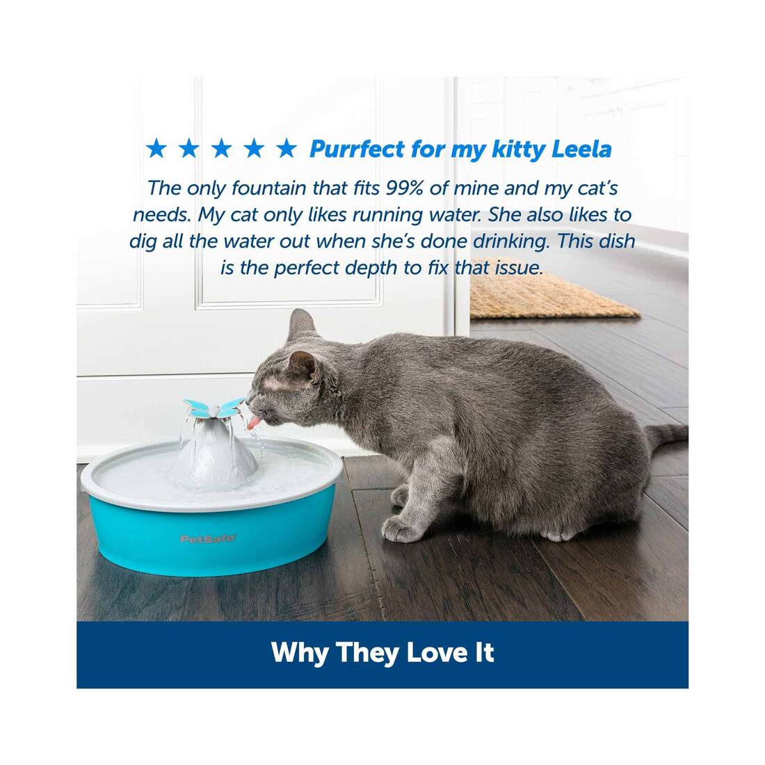 PetSafe® Drinkwell® Butterfly Cat and Dog Water Fountain