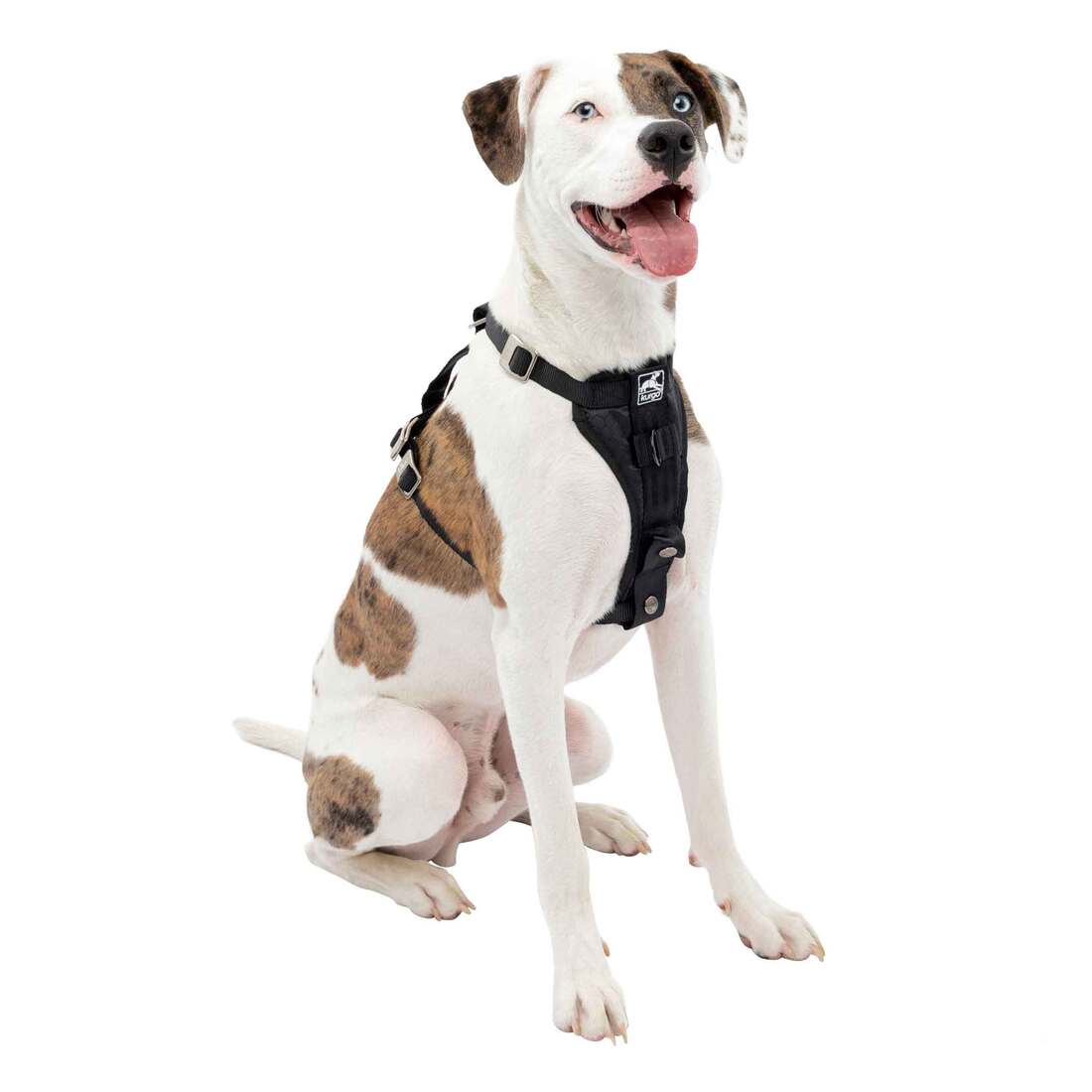 Kurgo Tru-Fit Dog Harness, Black, Medium