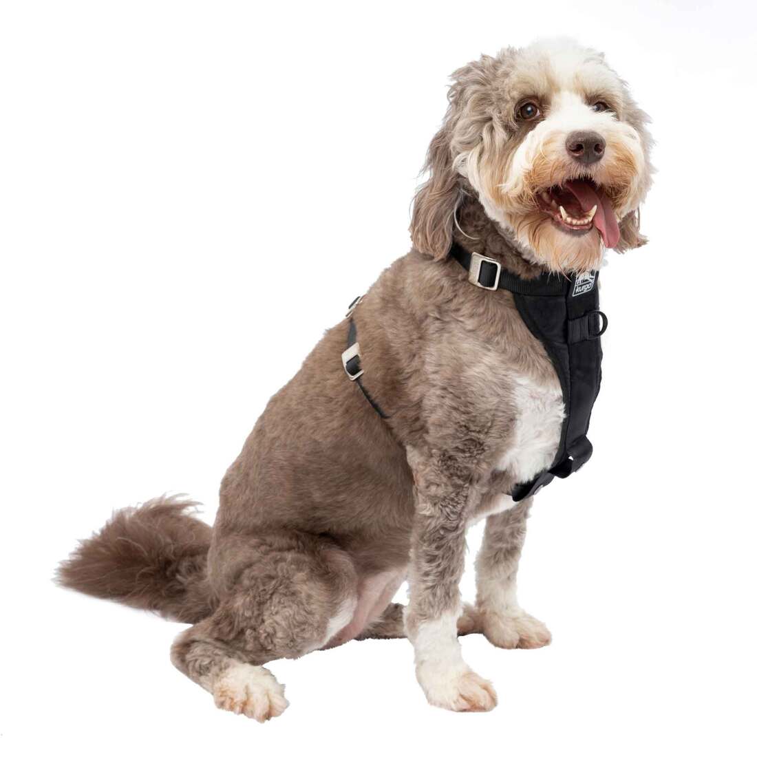Kurgo Tru-Fit Dog Harness, Black, Large