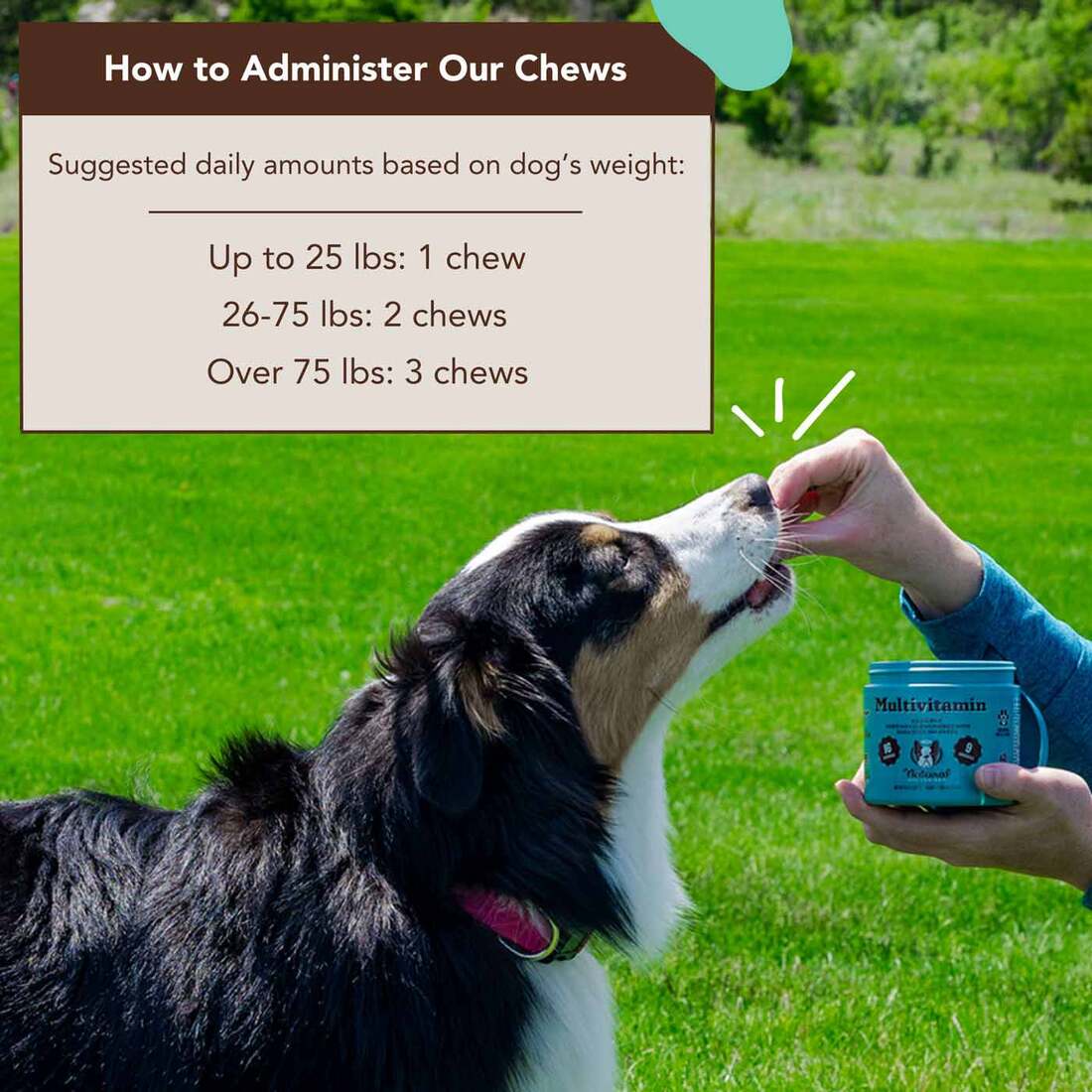 Natural Dog Company Multivitamin Supplement