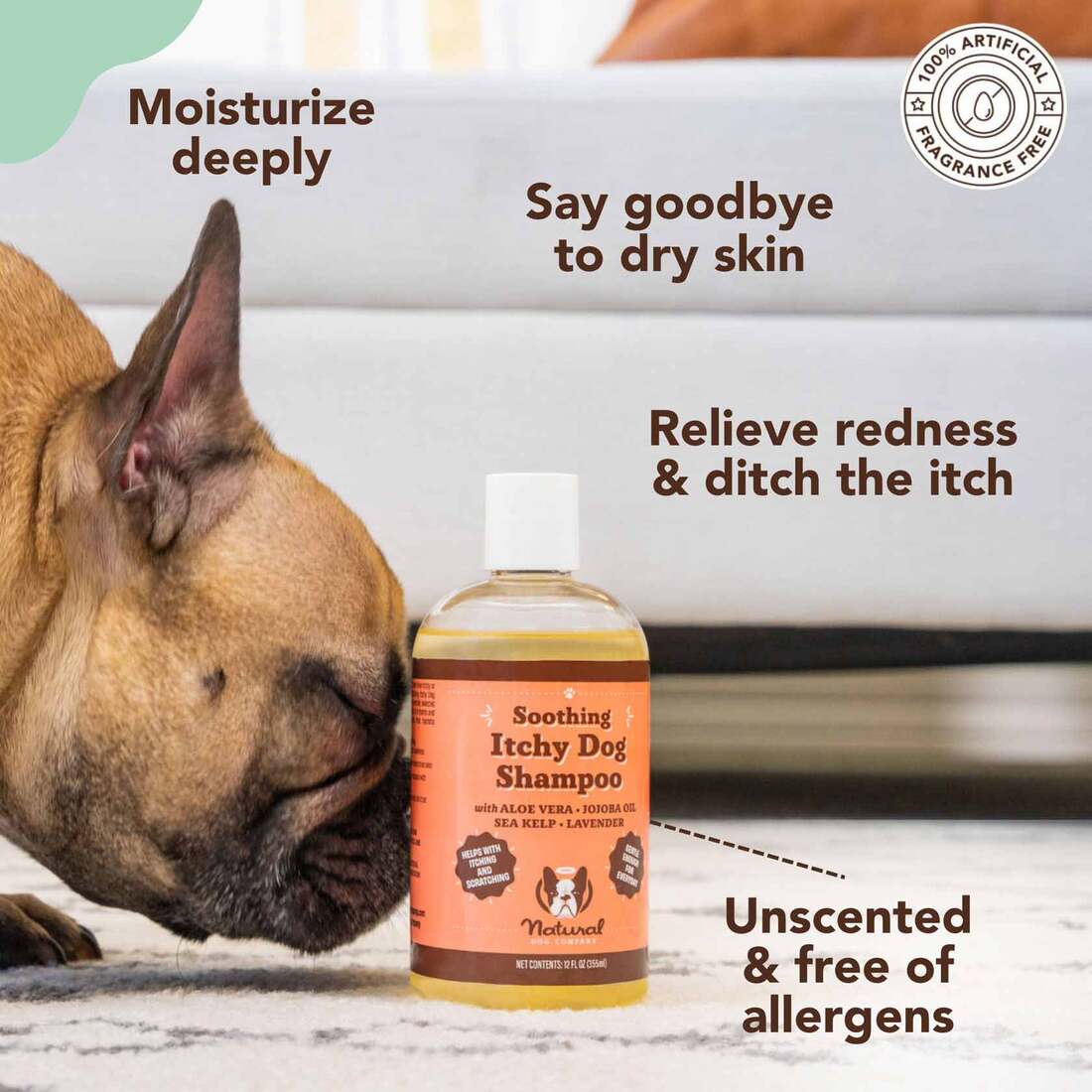 Natural Dog Company Itchy Dog Shampoo