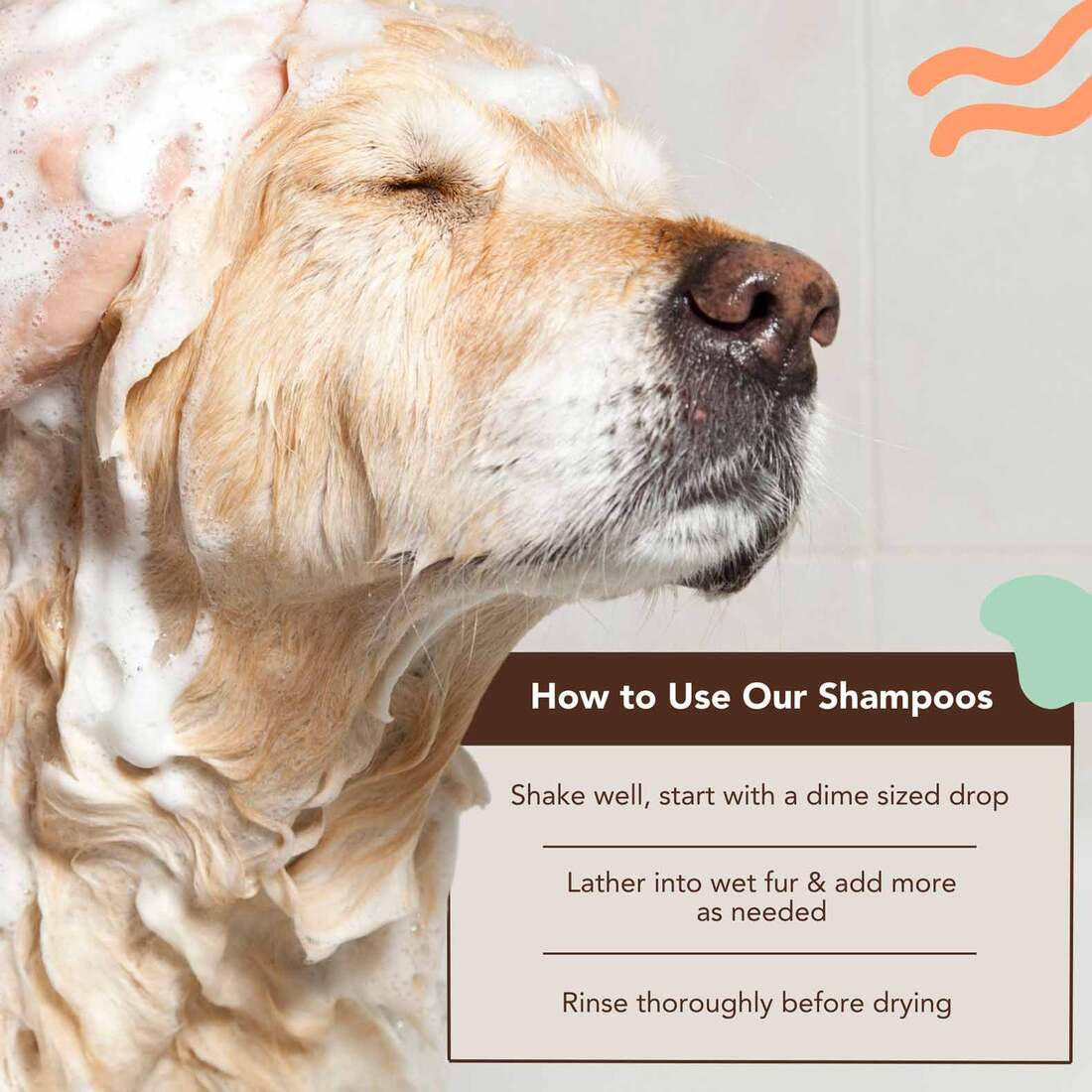 Natural Dog Company Itchy Dog Shampoo