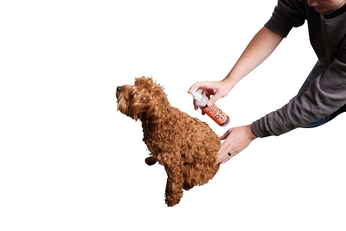 Natural Dog Company Itchy Dog Spritz, 8 Ounces