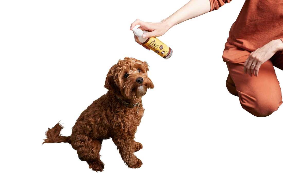 Natural Dog Company Sensitive Skin Spritz, 8 Ounces