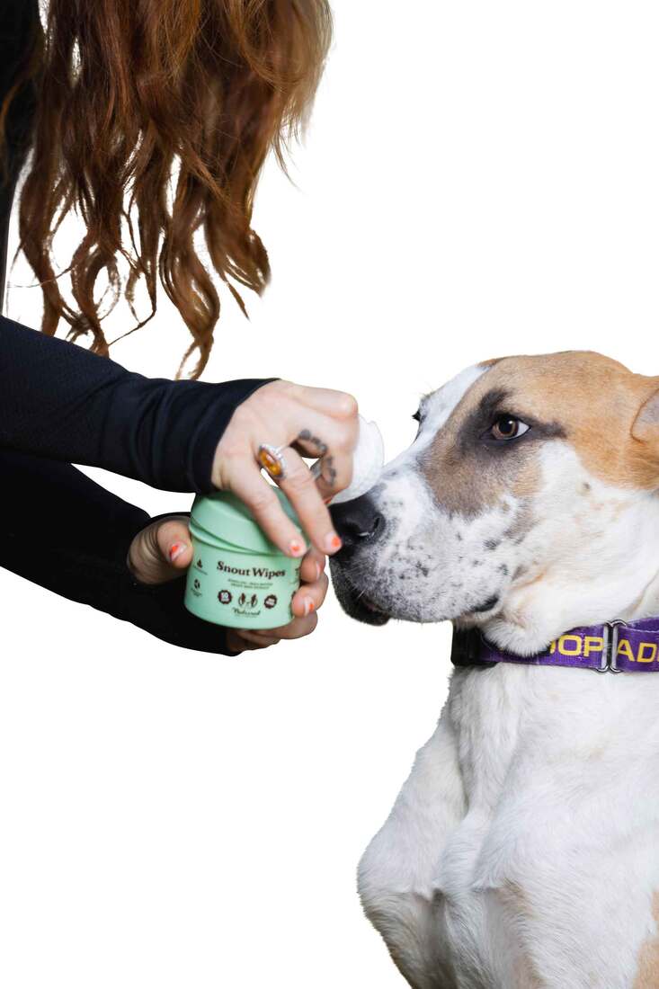 Natural Dog Company Snout Wipes, 50 Count